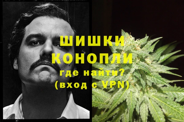 гидропоника Осинники