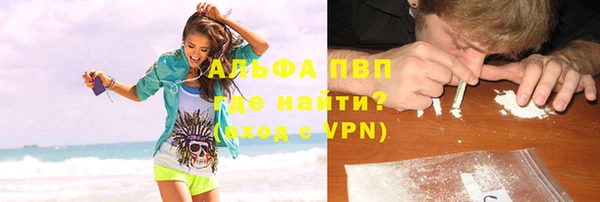 индика Абаза