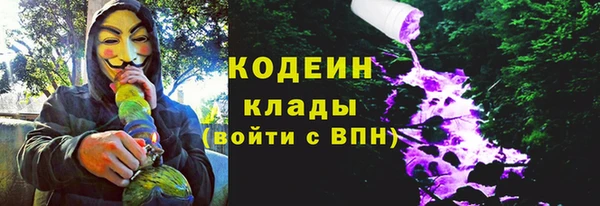 прущие грибы Абдулино