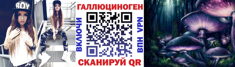 Псилоцибиновые грибы Psilocybe  mega зеркало  Ладушкин 